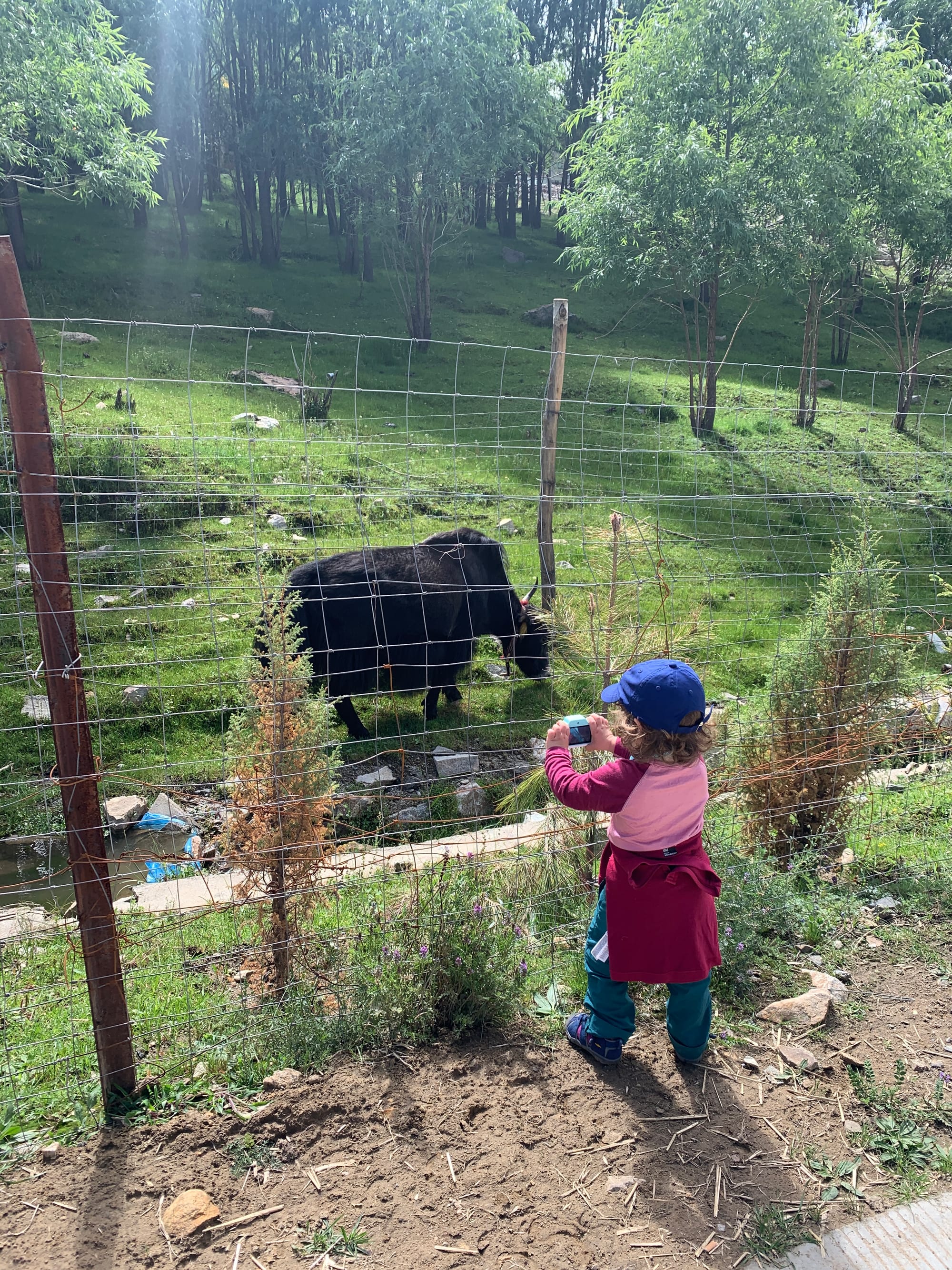 A homestay in Tibetan countryside - with children!