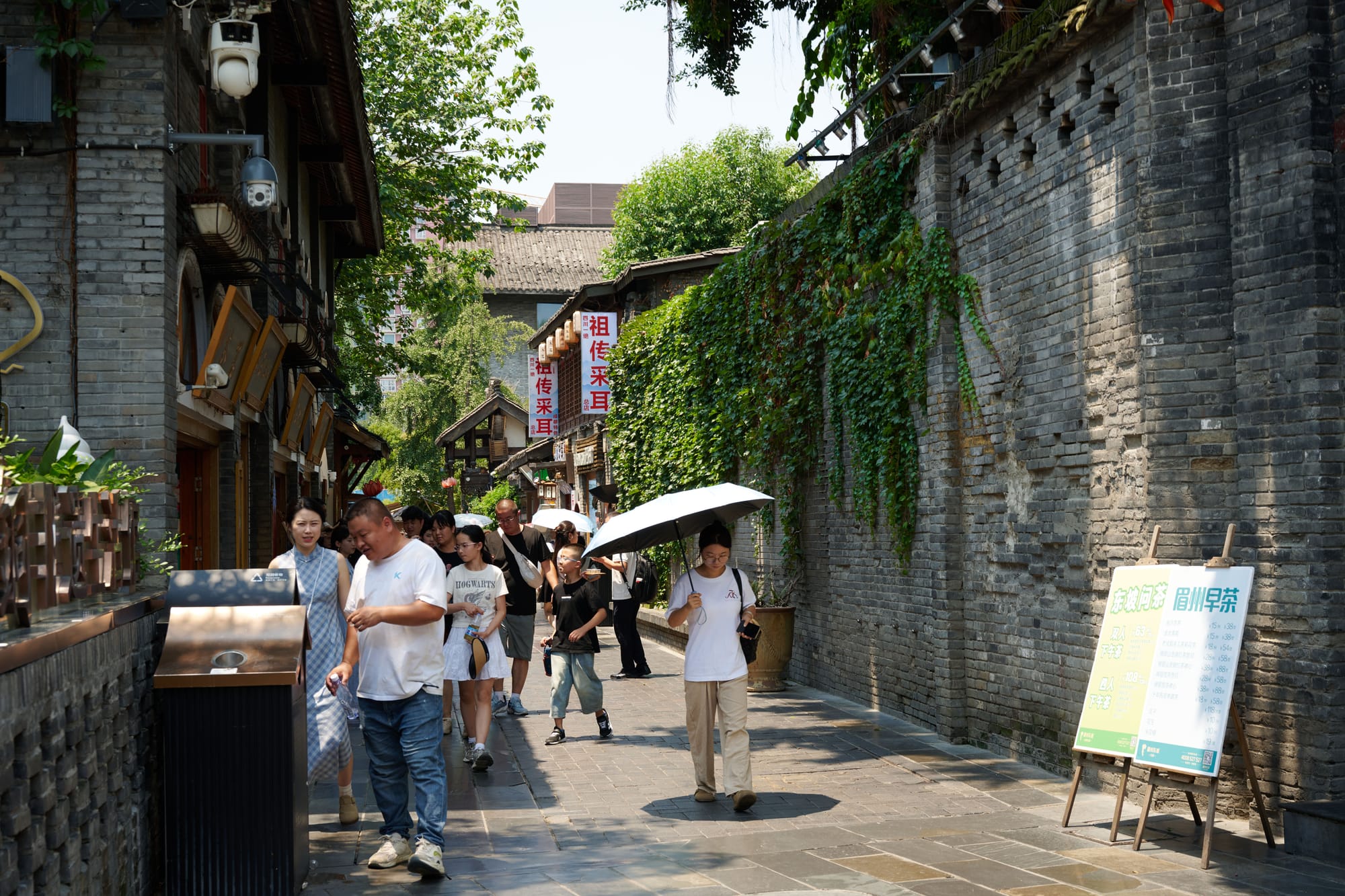 Wide and Narrow Alleys (宽窄巷子)